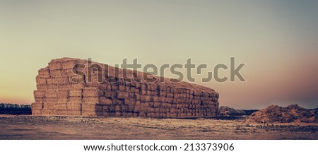 haystack after the harvest of wheat, natural panoramic background with instagram effect