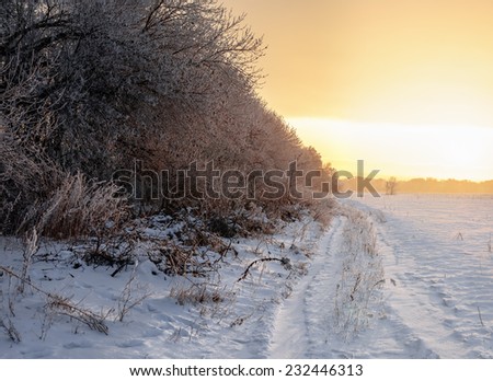 winter road and trees  covered with snow on sunrise, natural background