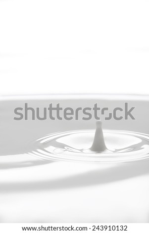 closeup splashing milk isolated on white background