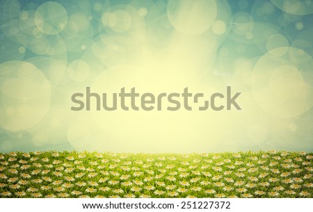 abstract vintage spring easter background with chamomiles field and blurred sunny sky