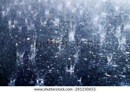 closeup frozen rain drops, natural soft focus background