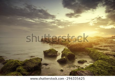 summer landscape on sunrise with stones of moss and amazing sky. natural vintage  background