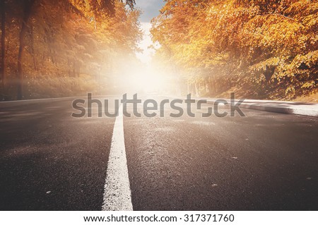 rural road. natural autumn background