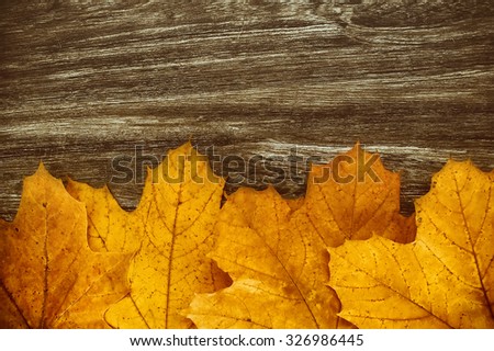 colorful yellow and red leaves on wooden desk. vintage autumn background