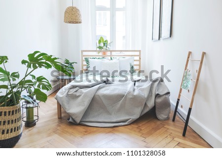 Modern scandinavian sunny bedroom with plants , floral pattern bedding and pilows. Space with white walls and brown wooden parquet.