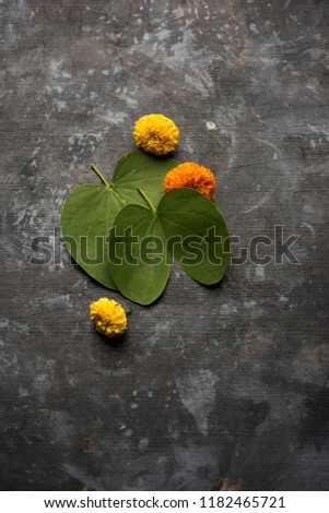 Indian Festival Greeting Card - Happy Dussehra, showing golden leaf and flowers on moody background. .