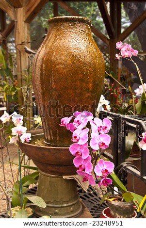Pink and white orchids growing in garden next to jug water feature.