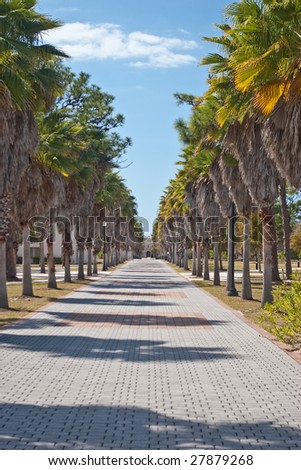 Brick sidewalk lined with palm trees on the campus of New College of Florida, with the Charles Ringling mansion in the background.