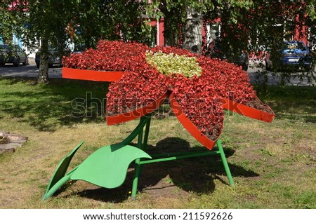 VOLOGDA, RUSSIA, AUGUST 16, 2014: Landscaping in Vologda, Russia. A flower bed in the shape of a flower