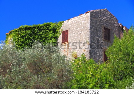 Mediterranean vegetation climbing on traditional stone building