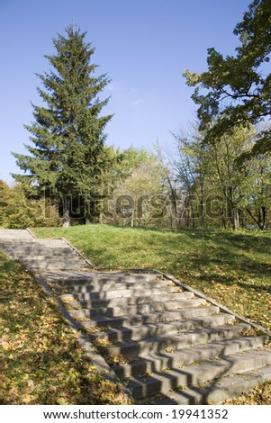 The autumn landscape is in a park . A stair is up in an overhead park.