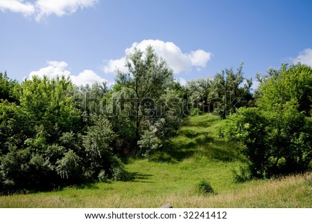 Summer Landscape with village in the forest.