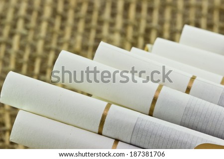 Tobacco in cigarettes with a white filter close up