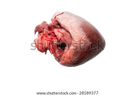 Animal Heart Pictures