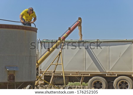 closeup of farmer and truck being loaded with grain