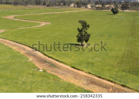 above a young crop with water course curving through it