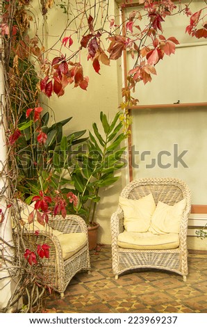Front porch with two chairs and plants growing on the walls.