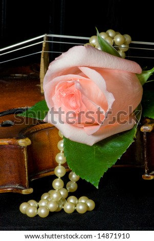 Pale peachy pink rose, pearls and old violin