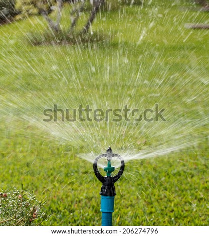 Sprinkler watering in the flowers garden.