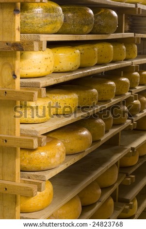 Various flavors of Dutch cheese