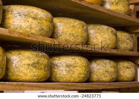 Nettle Cheese