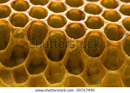 Edge of honeycomb structure