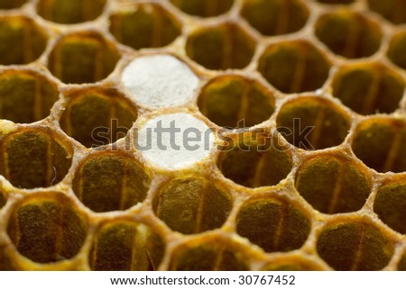 Honeycomb structure selective focus