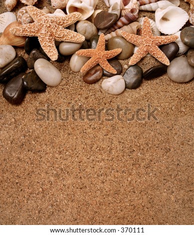  Assortment of starfish, seashells and smooth beach rocks in the sand -