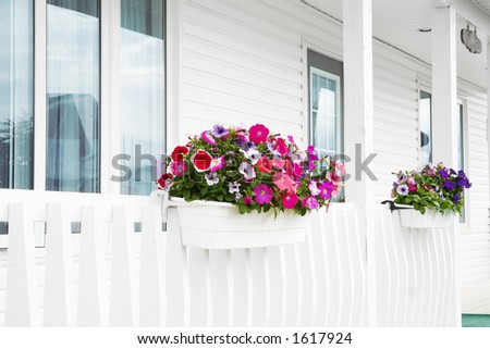 Flower arrangements on home patio