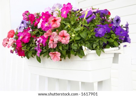 Flower arrangement on a home patio