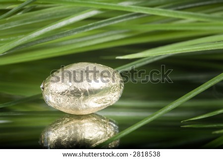 Tiny foil wrapped chocolate egg hidden in grass