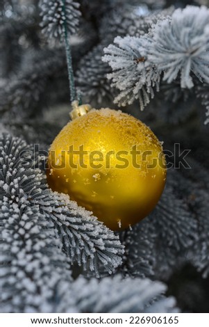 Gold Ball Hanging on a Christmas Tree