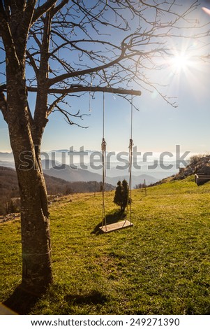 a swing on a tree in the italian alps