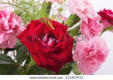 bouquet of red and pink roses isolated on the white background