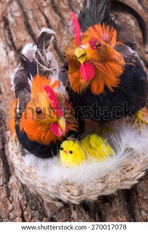 artificial chicken family