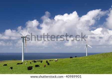 Cows grazing in green meadow among wind turbines on the ocean shore, alternative energy, electricity generation; long exposure, motion blur on the blades