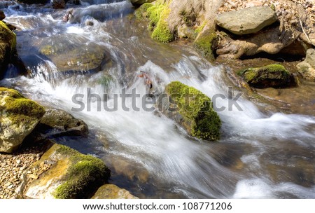 Stream that is running on a hill on the Blue Ridge of Virginia