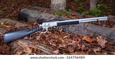 Stainless steel lever action rifle on logs in the fall