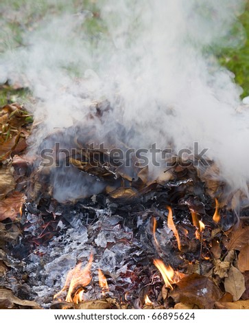 smoke that is coming up from a burning pile of fall leaves