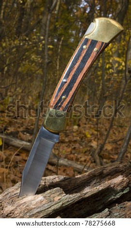 folding knife in a log in a fall forest