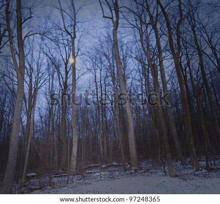 Moon rising behind a forest and snow with the trees moving in the breeze