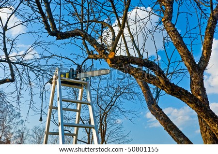 Step-ladder with a chain saw in a garden against the sky