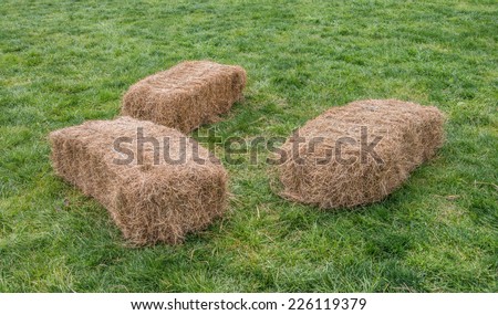 Square hay bales on grass