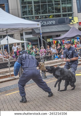 Auckland, New Zealand, March 28, 2015 : Two police officers with police dog perform an attack demonstration in Auckland, New Zealand