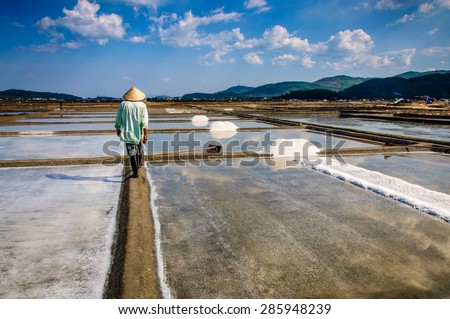 Sa_Huynh salt marsh