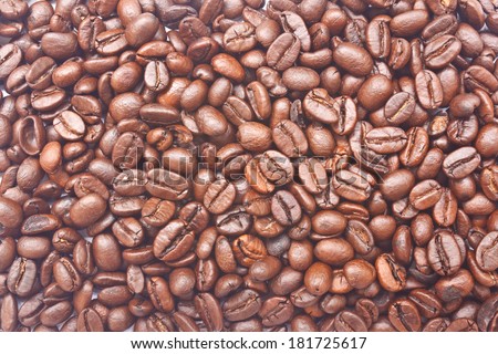 preparation for a coffee menu is made from coffee beans for background and textures.