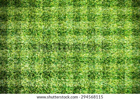 textured grass football , green natural grass of a soccer field