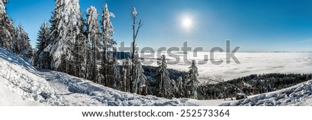 winter hike in the northern Black Forest on a sunny day