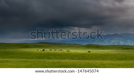 Mountain landscape with grazing horses and storm clouds