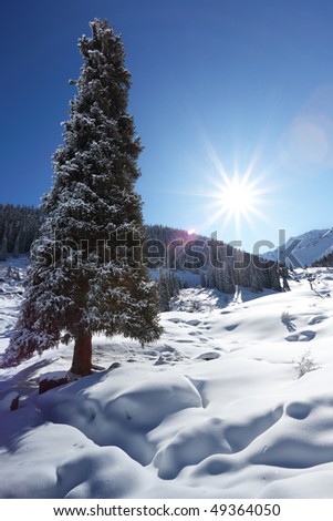 The winter sun over mountains